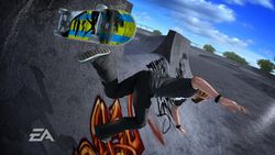 Skate   11