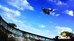 Skate   13