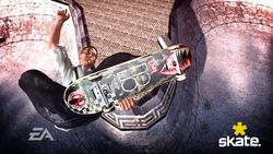 Skate   14