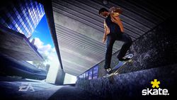Skate   17