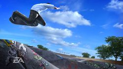 Skate   20