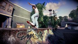 Skate   23