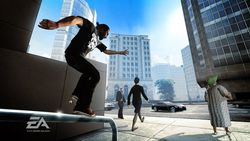 Skate   24