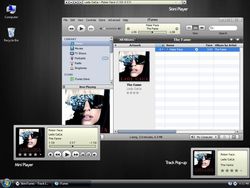 skinitunes screen