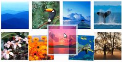 SkyDrive_Photos