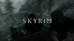 Skyrim (11)