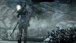 Skyrim (1)