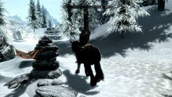 Skyrim (21)