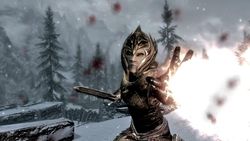 Skyrim (3)