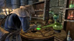 Skyrim (4)