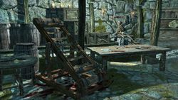 Skyrim (5)