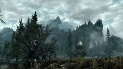 Skyrim (7)
