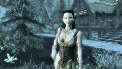 Skyrim (8)