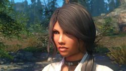 Skyrim iCEnhancer - 11