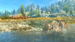 Skyrim iCEnhancer - 6