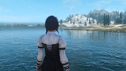 Skyrim iCEnhancer - 8
