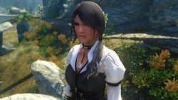 Skyrim iCEnhancer - 9