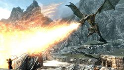 Skyrim