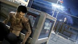 Sleeping Dogs - 10