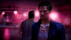 Sleeping Dogs - 2