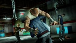 Sleeping Dogs - 5