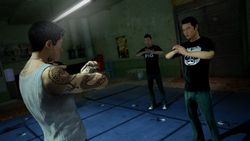 Sleeping Dogs - 9