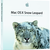 Dossier : présentation de Mac OS X Snow Leopard (1/2)