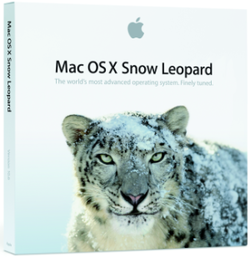 snowleo_box