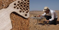 Solar Sinter - 1
