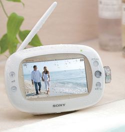 Sony Bravia XDV W600