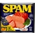 Spam : pas de liberté d'expression pour Jeremy Jaynes