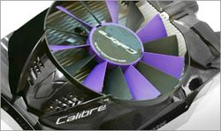 Sparkle-Claibre-Fan_2