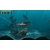 Steel Diver : date de sortie Europe sur Nintendo 3DS 