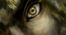 Street fighter iv screenshot 3