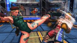 Street Fighter X Tekken (10)