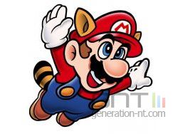 Super mario fly small