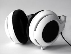 Syberia Neckband 1