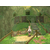 Tales of Symphonia Wii : des détails supplémentaires