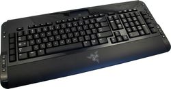 Tarantula Razer