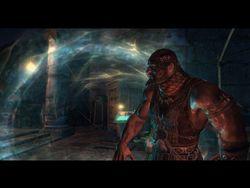 test the witcher pc image (31)