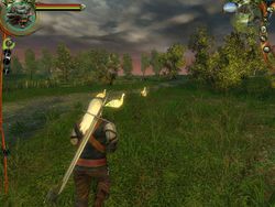 test the witcher pc image (38)