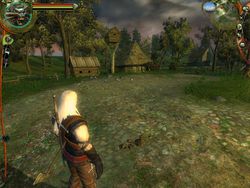test the witcher pc image (39)