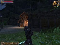 TestTwo Worlds image (7)