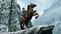 The Elder Scrolls Skyrim (1)