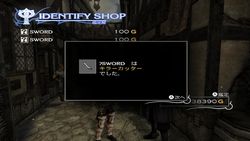 The Last Story - 15