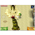 Zelda : Phantom Hourglass bientôt jouable