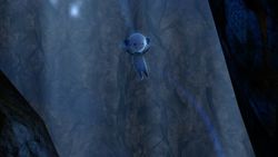 The UnderGarden (9)