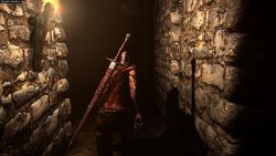 The Witcher 2 - Image 27