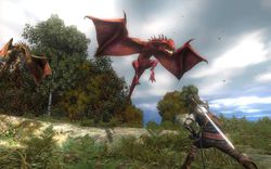 The Witcher   Image 9