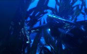 Tomb Raider Underworld 6 Tomb Raider Underworld 6